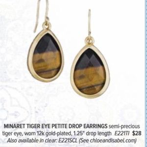 Minaret Tiger Eye Petite Drop Earrings